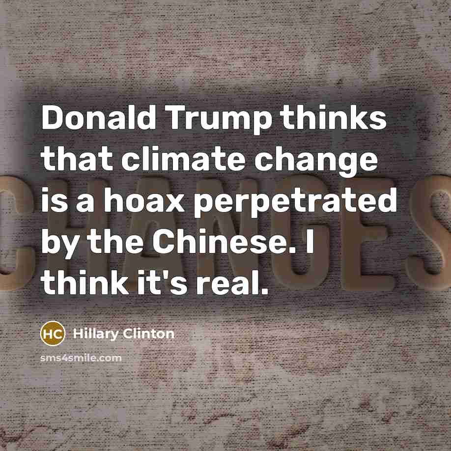 “Donald Trump thinks that climate change is a hoax perpetrated by the Chinese. I think it's real.” quote by Hillary Clinton