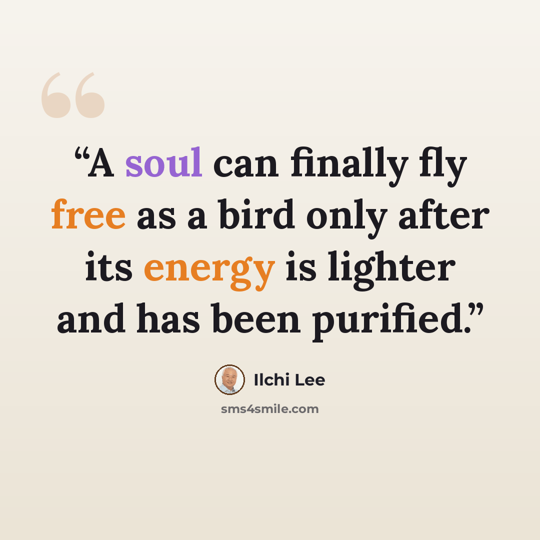 “A soul can finally fly free as a bird only after its energy is lighter and has been purified.” quote by Ilchi Lee