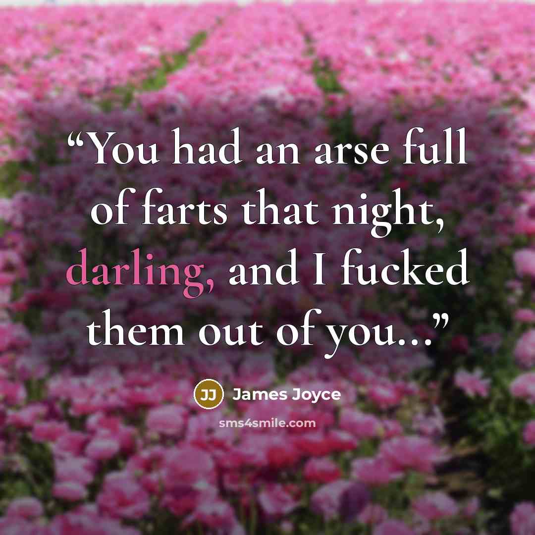 “You had an arse full of farts that night, darling, and I fucked them out of you...” quote by James Joyce