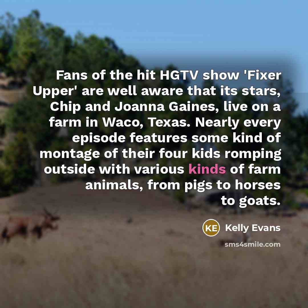“Fans of the hit HGTV show 'Fixer Upper' are well aware that its stars, Chip and Joanna Gaines, live on a farm in Waco, Texas. Nearly every episode features some kind of montage of their four kids romping outside with various kinds of farm animals, from pigs to horses to goats.” quote by Kelly Evans