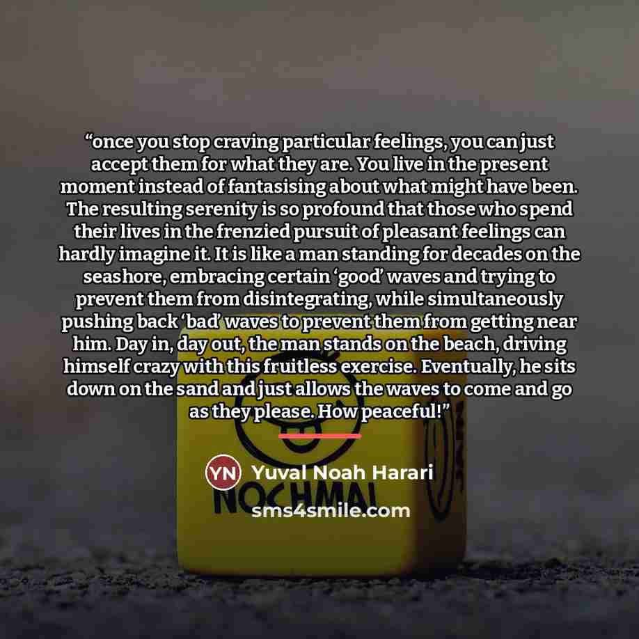 “once you stop craving particular feelings, you can just accept them for what they are. You live in the present moment instead of fantasising about what might have been. The resulting serenity is so profound that those who spend their lives in the frenzied pursuit of pleasant feelings can hardly…” quote by Yuval Noah Harari