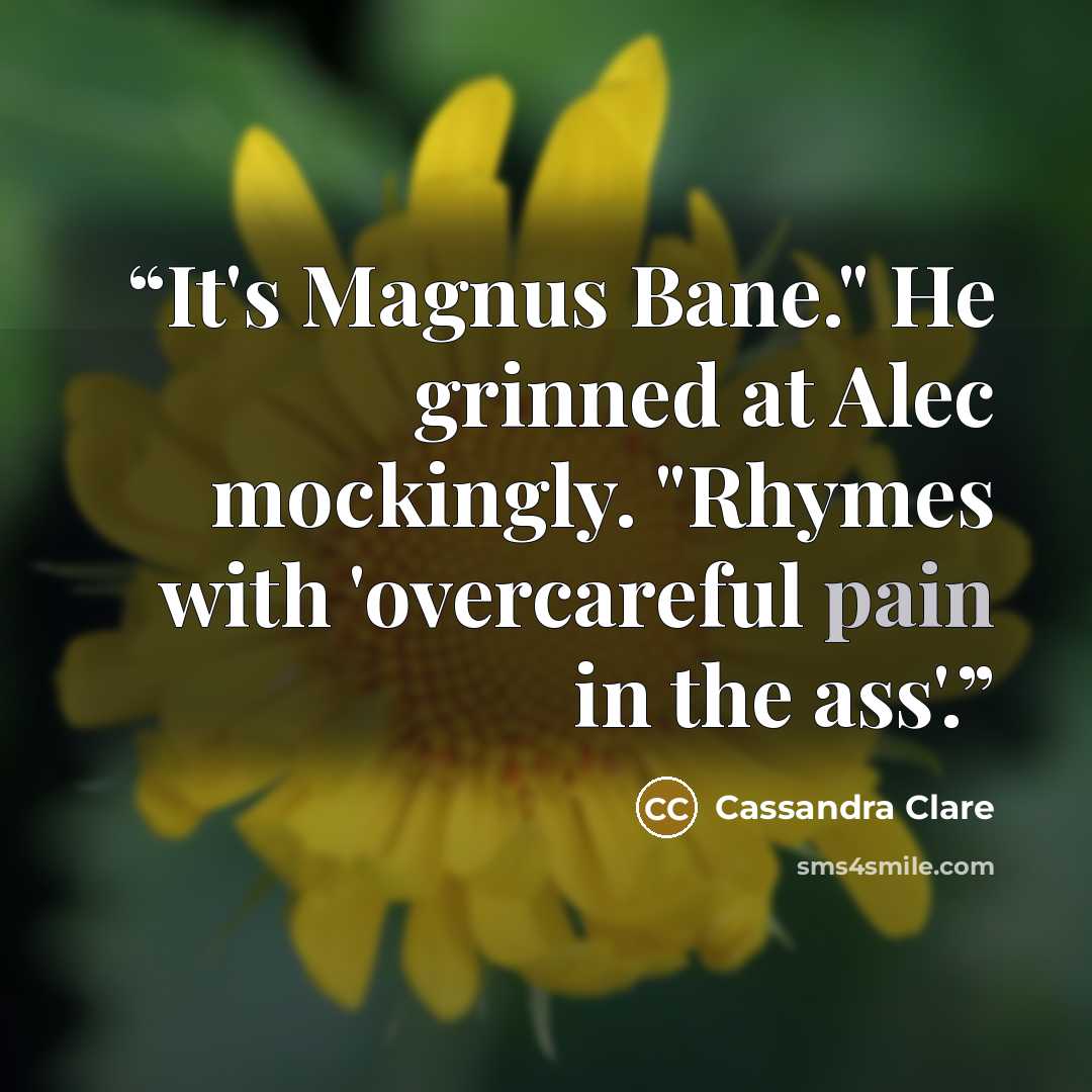 “It's Magnus Bane." He grinned at Alec mockingly. "Rhymes with 'overcareful pain in the ass'.” quote by Cassandra Clare