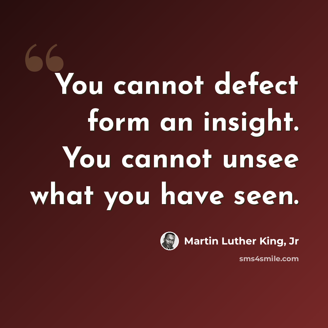 “You cannot defect form an insight. You cannot unsee what you have seen.” quote by Martin Luther King, Jr