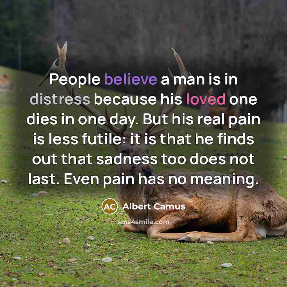 “People believe a man is in distress because his loved one dies in one day. But his real pain is less futile: it is that he finds out that sadness too does not last. Even pain has no meaning.” quote by Albert Camus