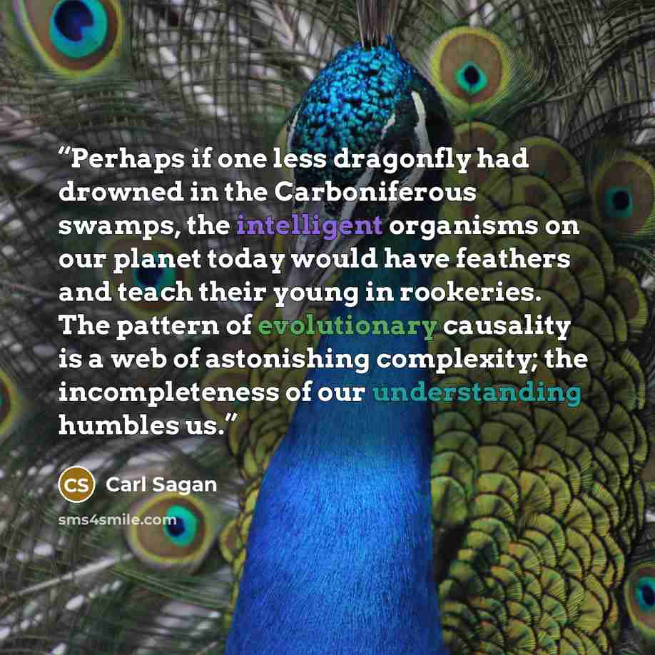 “Perhaps if one less dragonfly had drowned in the Carboniferous swamps, the intelligent organisms on our planet today would have feathers and teach their young in rookeries. The pattern of evolutionary causality is a web of astonishing complexity; the incompleteness of our understanding humbles us.” quote by Carl Sagan