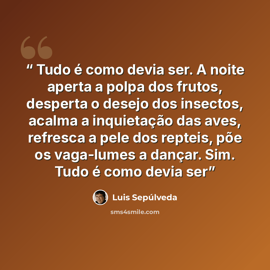 “Tudo é como devia ser. A noite aperta a polpa dos frutos, desperta o desejo dos insectos, acalma a inquietação das aves, refresca a pele dos repteis, põe os vaga-lumes a dançar. Sim. Tudo é como devia ser” quote by Luis Sepúlveda