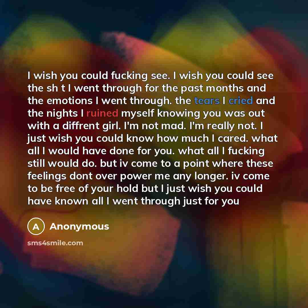 “I wish you could fucking see. I wish you could see the sh t I went through for the past months and the emotions I went through. the tears I cried and the nights I ruined myself knowing you was out with a diffrent girl. I'm not mad. I'm really not. I just wish you could know how much I cared. what…” quote by Anonymous