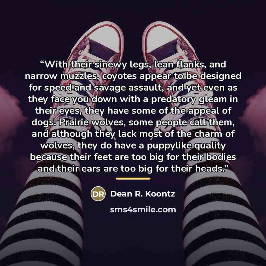 “With their sinewy legs, lean flanks, and narrow muzzles, coyotes appear to be designed for speed and savage assault, and yet even as they face you down with a predatory gleam in their eyes, they have some of the appeal of dogs. Prairie wolves, some people call them, and although they lack most of…” quote by Dean R. Koontz