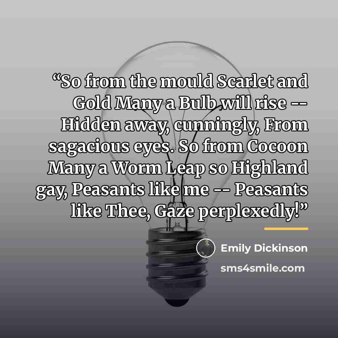 “So from the mould Scarlet and Gold Many a Bulb will rise -- Hidden away, cunningly, From sagacious eyes. So from Cocoon Many a Worm Leap so Highland gay, Peasants like me -- Peasants like Thee, Gaze perplexedly!” quote by Emily Dickinson