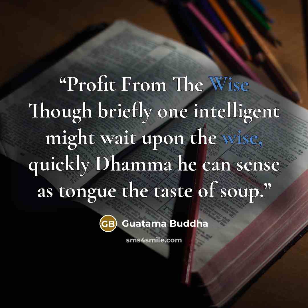 “Profit From The Wise Though briefly one intelligent might wait upon the wise, quickly Dhamma he can sense as tongue the taste of soup.” quote by Guatama Buddha