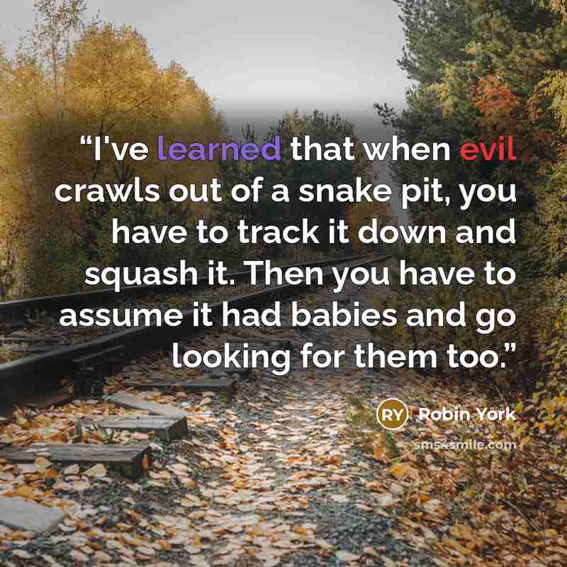 “I've learned that when evil crawls out of a snake pit, you have to track it down and squash it. Then you have to assume it had babies and go looking for them too.” quote by Robin York