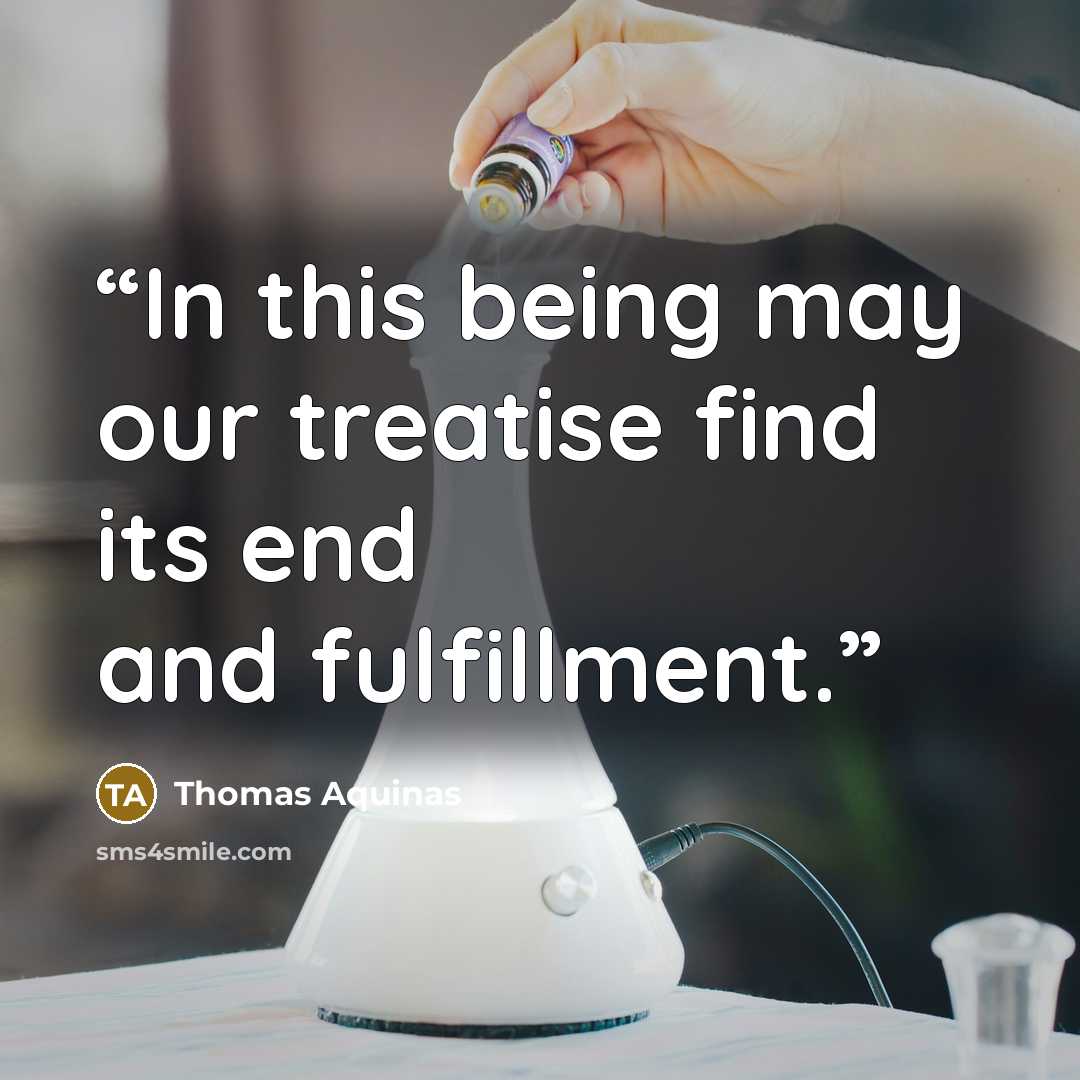 “In this being may our treatise find its end and fulfillment.” quote by Thomas Aquinas