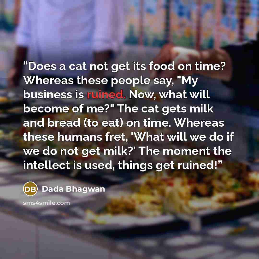 “Does a cat not get its food on time? Whereas these people say, "My business is ruined. Now, what will become of me?" The cat gets milk and bread (to eat) on time. Whereas these humans fret, 'What will we do if we do not get milk?' The moment the intellect is used, things get ruined!” quote by Dada Bhagwan