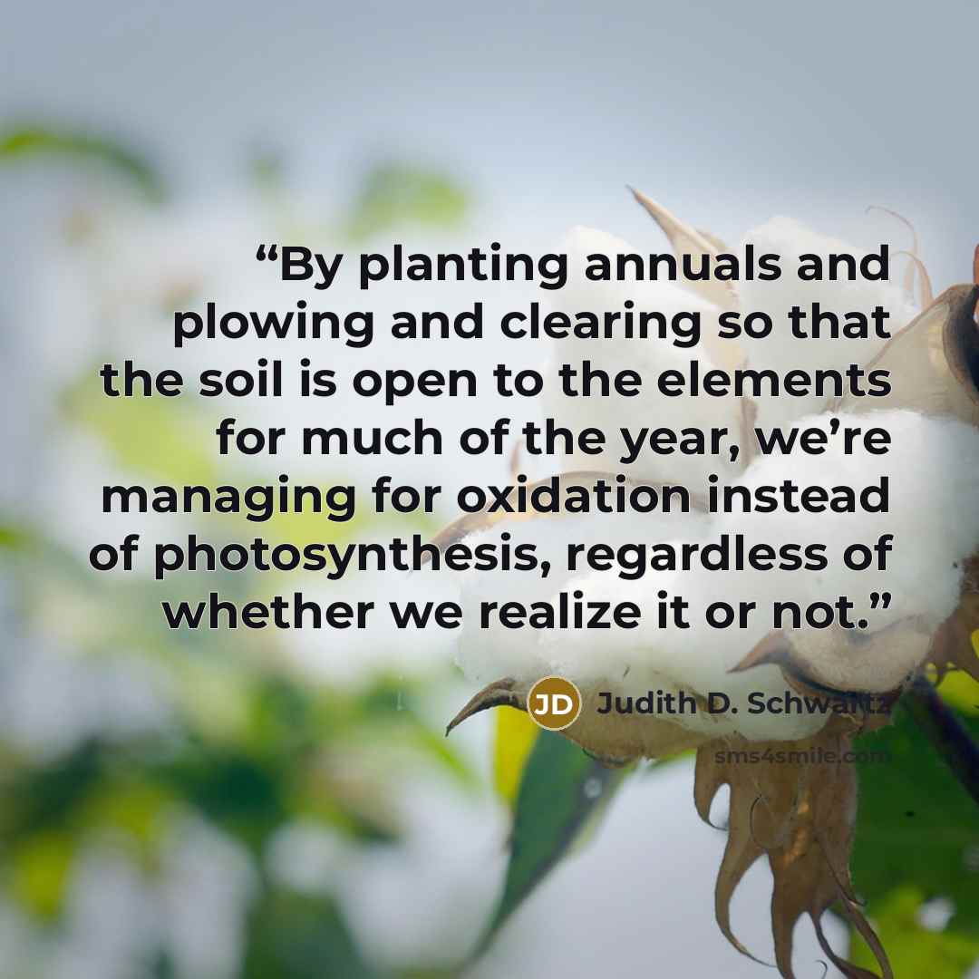 “By planting annuals and plowing and clearing so that the soil is open to the elements for much of the year, we’re managing for oxidation instead of photosynthesis, regardless of whether we realize it or not.” quote by Judith D. Schwartz