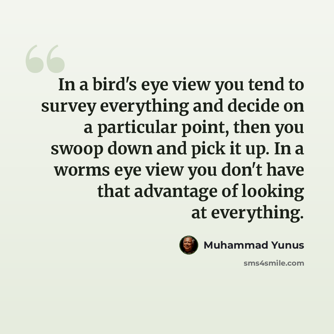 “In a bird's eye view you tend to survey everything and decide on a particular point, then you swoop down and pick it up. In a worms eye view you don't have that advantage of looking at everything.” quote by Muhammad Yunus