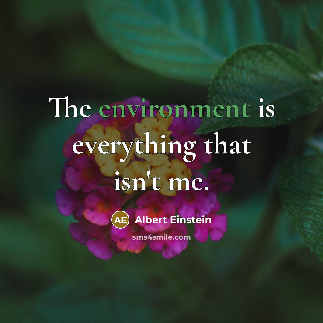 “The environment is everything that isn't me.” quote by Albert Einstein
