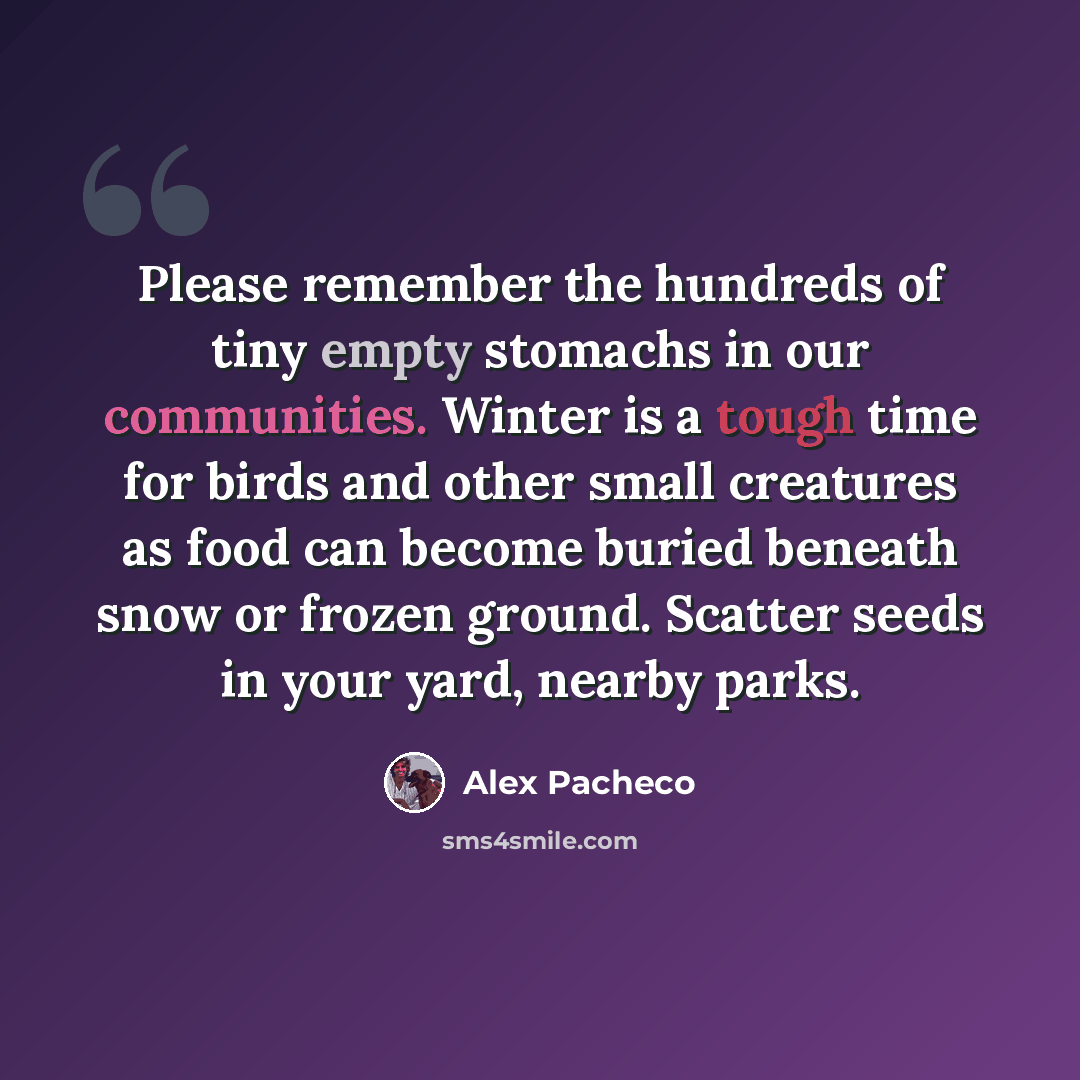 “Please remember the hundreds of tiny empty stomachs in our communities. Winter is a tough time for birds and other small creatures as food can become buried beneath snow or frozen ground. Scatter seeds in your yard, nearby parks.” quote by Alex Pacheco
