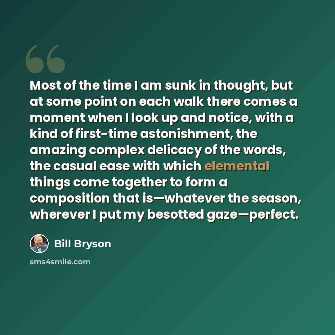 “Most of the time I am sunk in thought, but at some point on each walk there comes a moment when I look up and notice, with a kind of first-time astonishment, the amazing complex delicacy of the words, the casual ease with which elemental things come together to form a composition that is—whatever…” quote by Bill Bryson