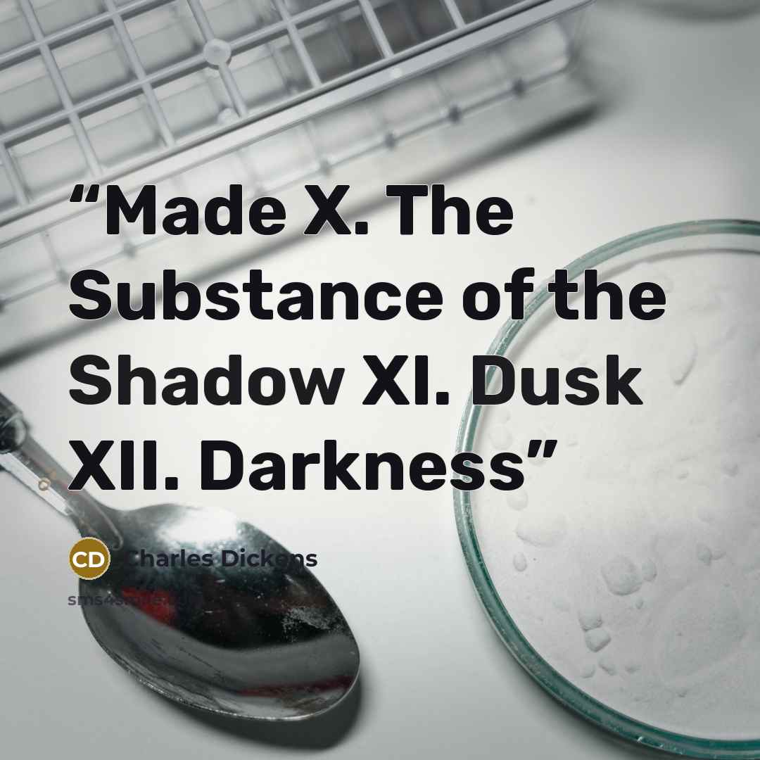 “Made X. The Substance of the Shadow XI. Dusk XII. Darkness” quote by Charles Dickens
