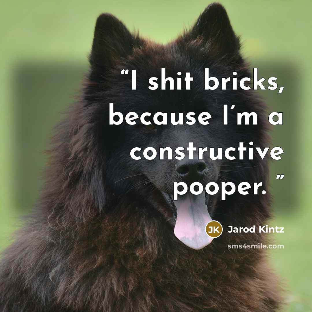 “I shit bricks, because I’m a constructive pooper.” quote by Jarod Kintz