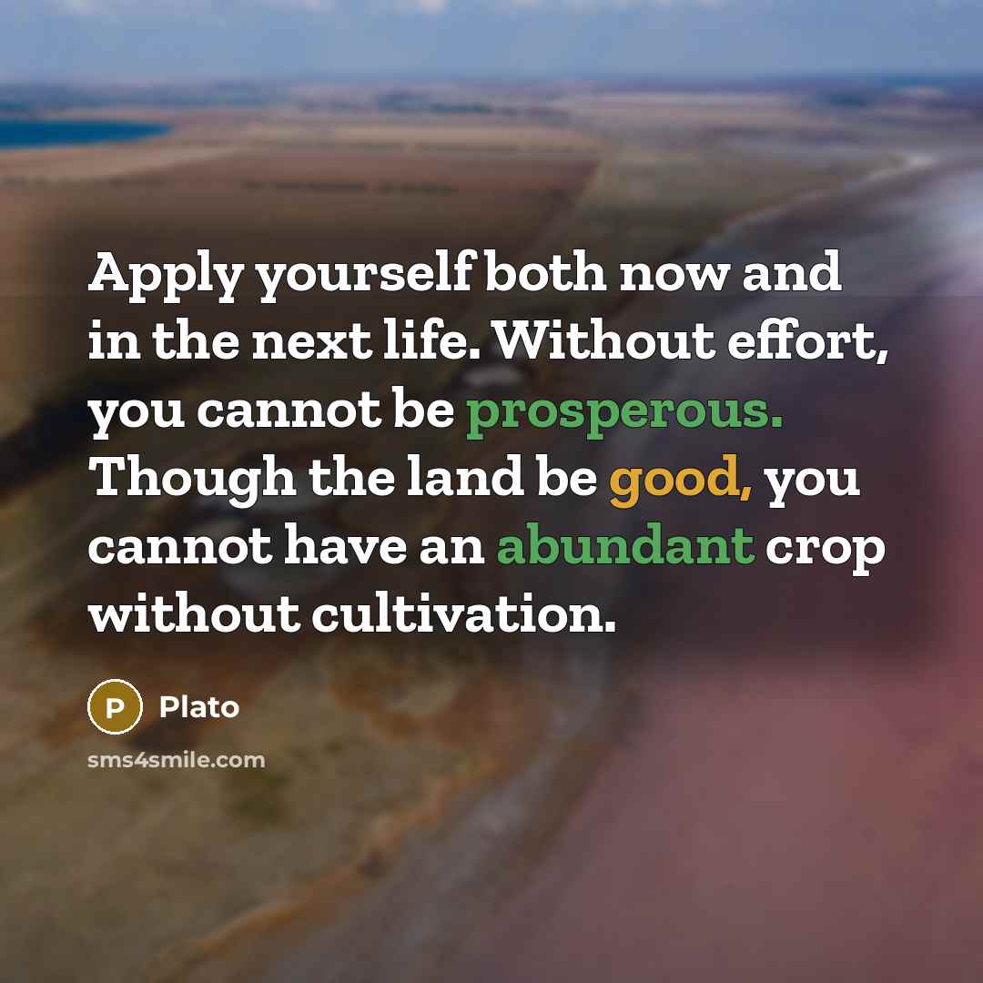 “Apply yourself both now and in the next life. Without effort, you cannot be prosperous. Though the land be good, you cannot have an abundant crop without cultivation.” quote by Plato
