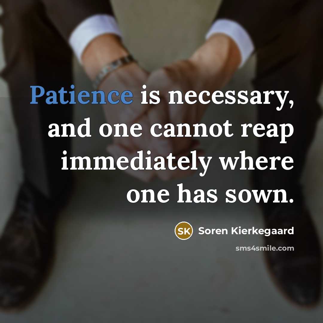 “Patience is necessary, and one cannot reap immediately where one has sown.” quote by Soren Kierkegaard