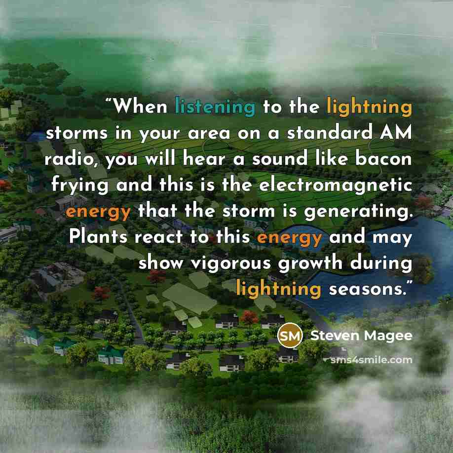 “When listening to the lightning storms in your area on a standard AM radio, you will hear a sound like bacon frying and this is the electromagnetic energy that the storm is generating. Plants react to this energy and may show vigorous growth during lightning seasons.” quote by Steven Magee