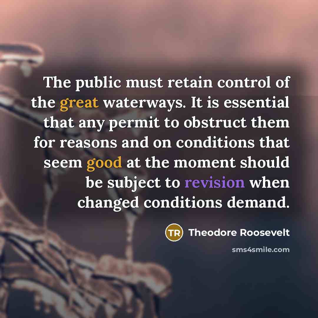 “The public must retain control of the great waterways. It is essential that any permit to obstruct them for reasons and on conditions that seem good at the moment should be subject to revision when changed conditions demand.” quote by Theodore Roosevelt