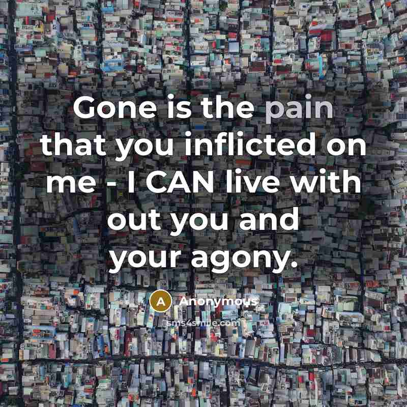 “Gone is the pain that you inflicted on me - I CAN live with out you and your agony.” quote by Anonymous