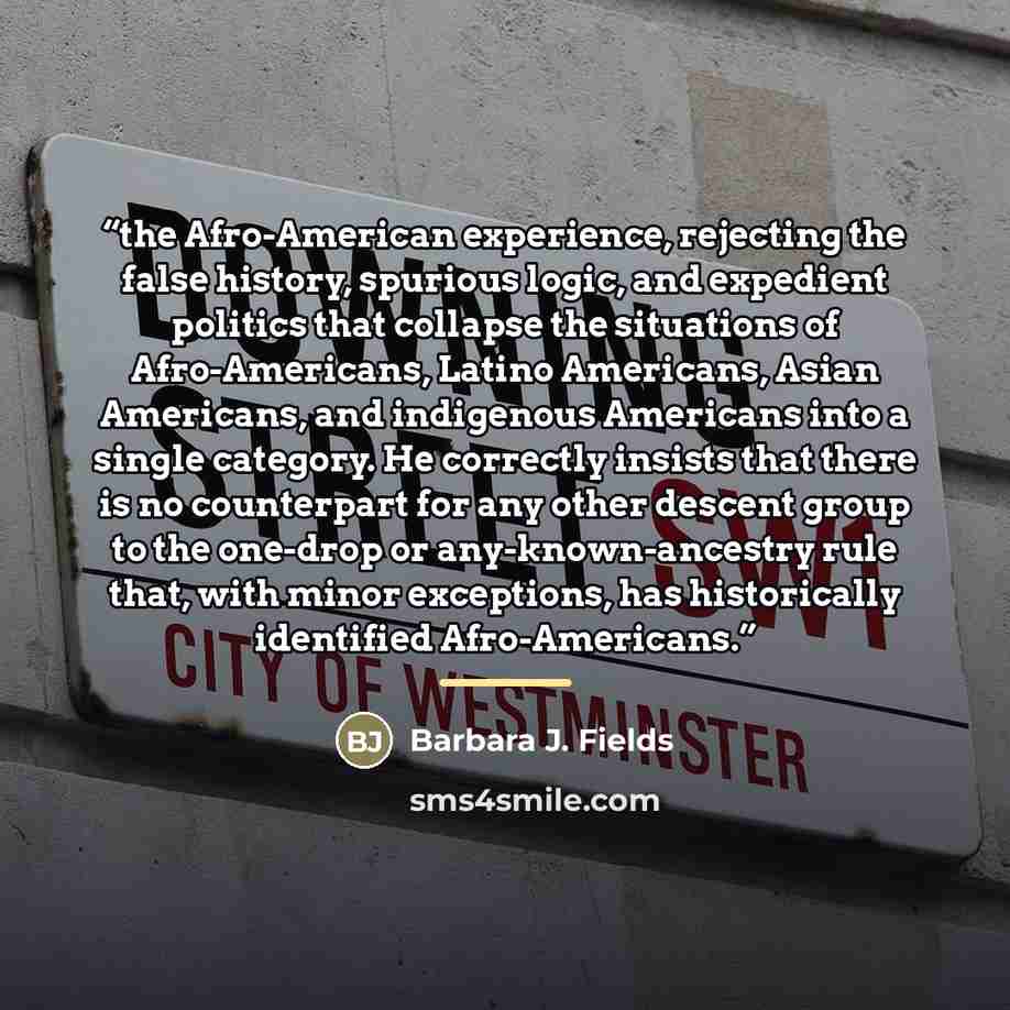 “the Afro-American experience, rejecting the false history, spurious logic, and expedient politics that collapse the situations of Afro-Americans, Latino Americans, Asian Americans, and indigenous Americans into a single category. He correctly insists that there is no counterpart for any other…” quote by Barbara J. Fields