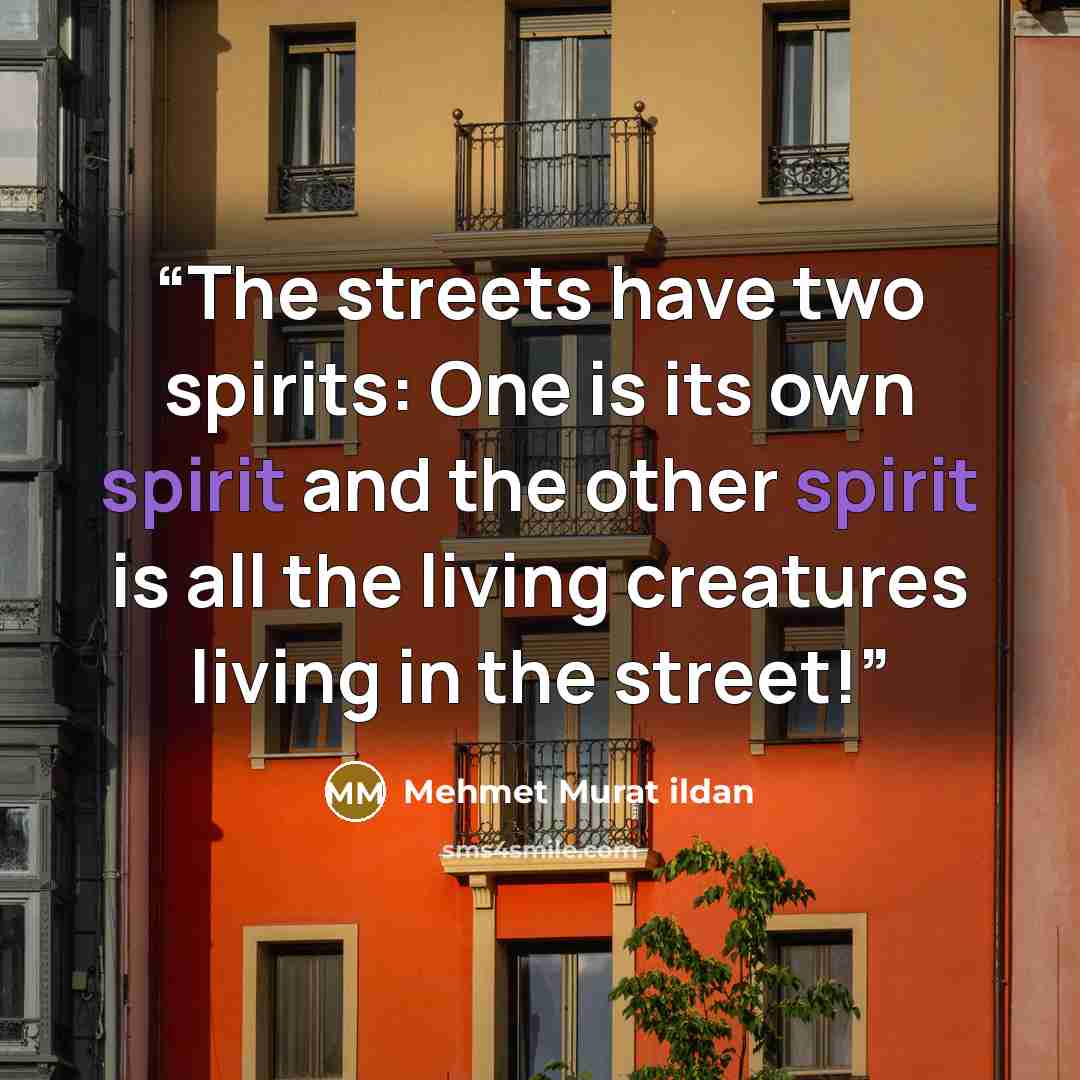 “The streets have two spirits: One is its own spirit and the other spirit is all the living creatures living in the street!” quote by Mehmet Murat ildan