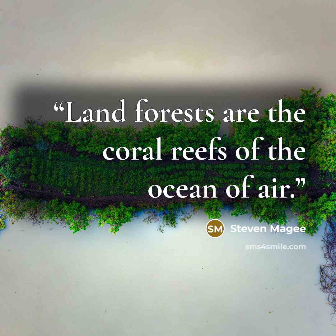 “Land forests are the coral reefs of the ocean of air.” quote by Steven Magee
