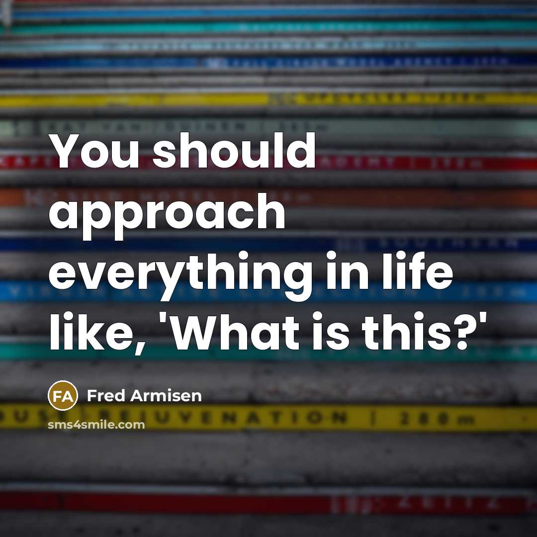 “You should approach everything in life like, 'What is this?'” quote by Fred Armisen