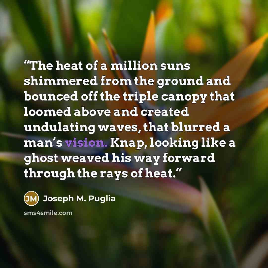 “The heat of a million suns shimmered from the ground and bounced off the triple canopy that loomed above and created undulating waves, that blurred a man’s vision. Knap, looking like a ghost weaved his way forward through the rays of heat.” quote by Joseph M. Puglia