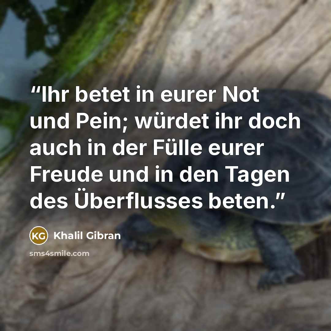 “Ihr betet in eurer Not und Pein; würdet ihr doch auch in der Fülle eurer Freude und in den Tagen des Überflusses beten.” quote by Khalil Gibran