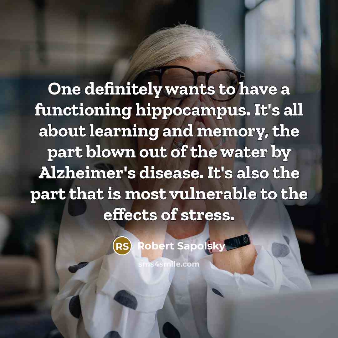 “One definitely wants to have a functioning hippocampus. It's all about learning and memory, the part blown out of the water by Alzheimer's disease. It's also the part that is most vulnerable to the effects of stress.” quote by Robert Sapolsky
