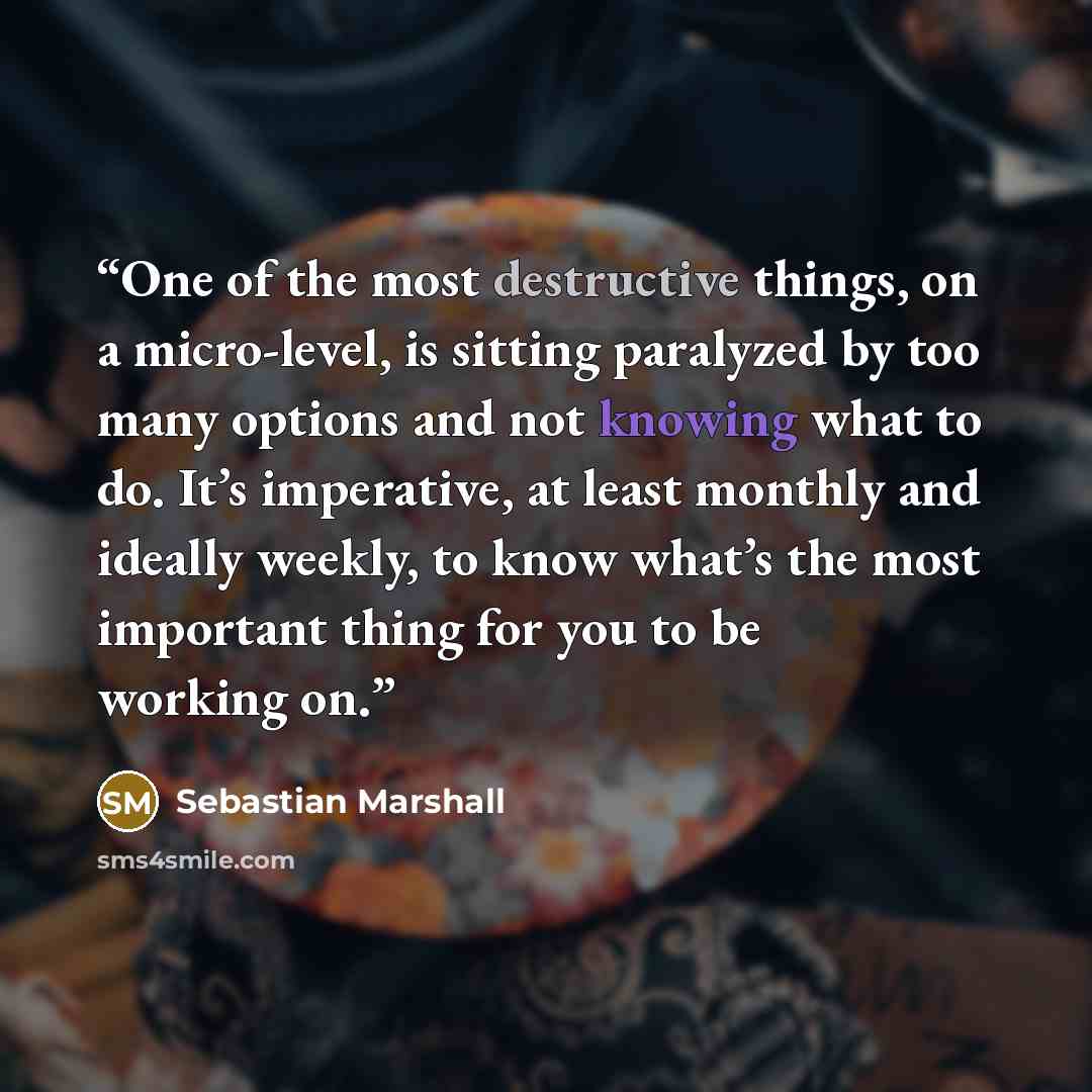 “One of the most destructive things, on a micro-level, is sitting paralyzed by too many options and not knowing what to do. It’s imperative, at least monthly and ideally weekly, to know what’s the most important thing for you to be working on.” quote by Sebastian Marshall