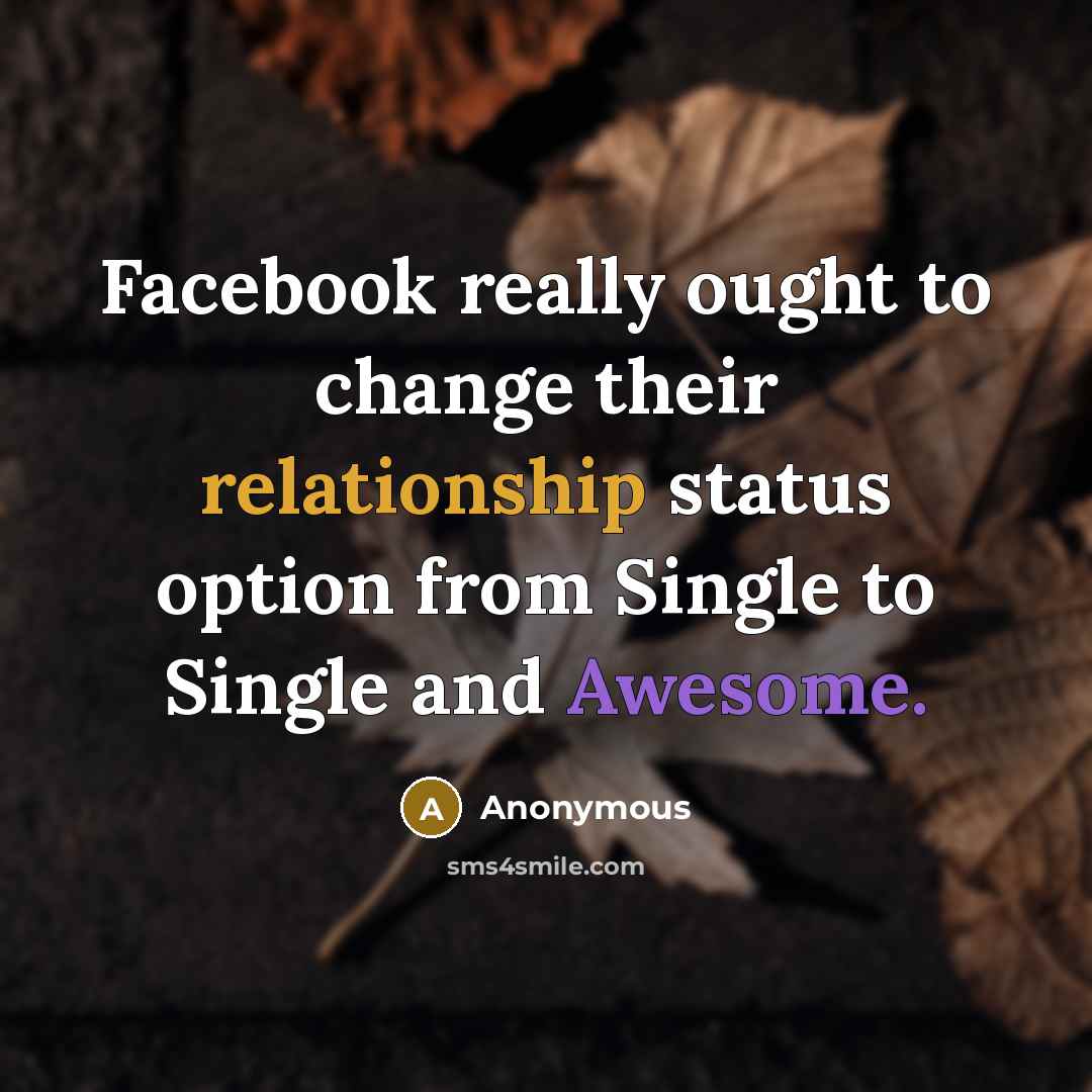 “Facebook really ought to change their relationship status option from Single to Single and Awesome.” quote by Anonymous