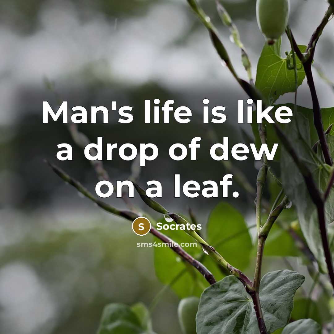 “Man's life is like a drop of dew on a leaf.” quote by Socrates