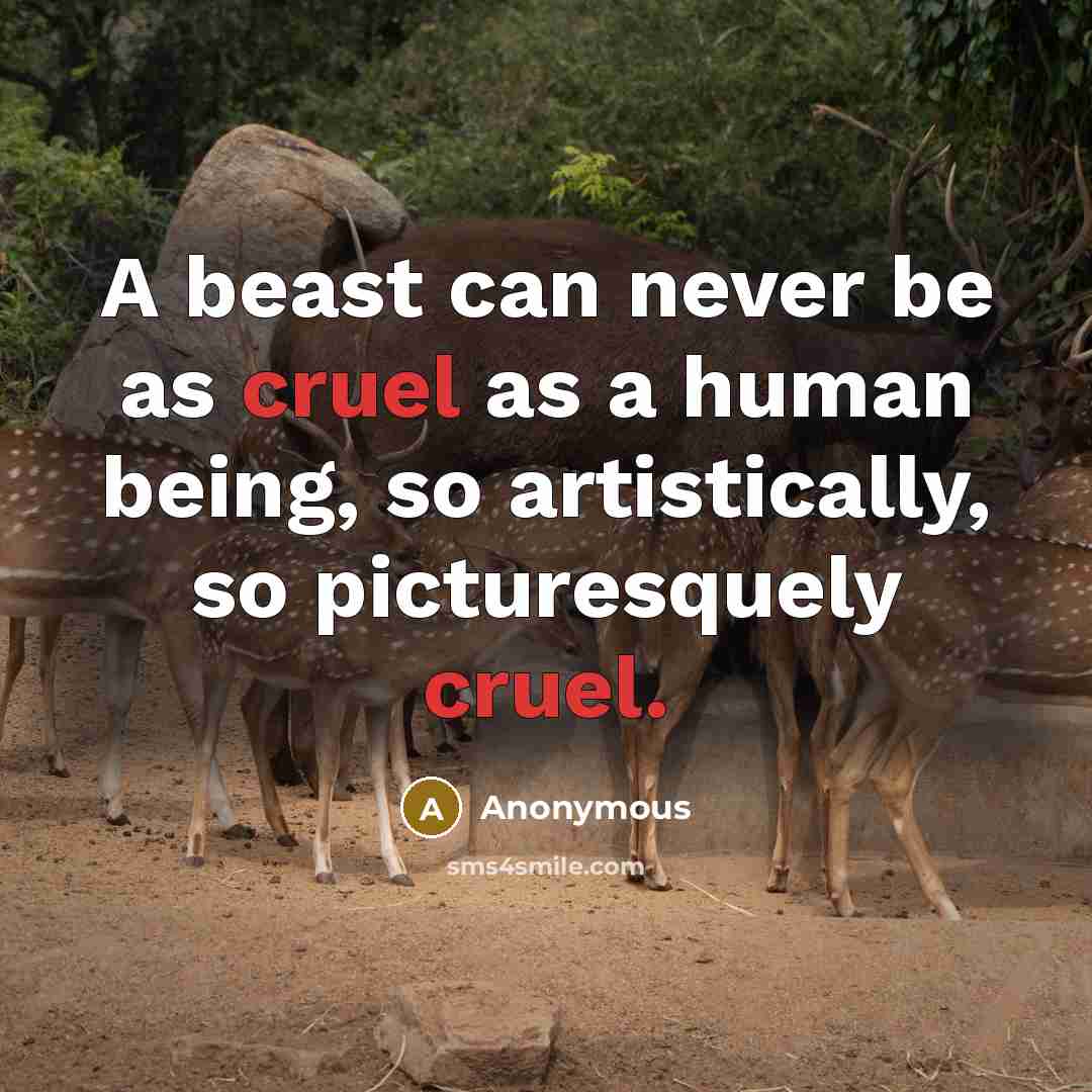 “A beast can never be as cruel as a human being, so artistically, so picturesquely cruel.” quote by Anonymous