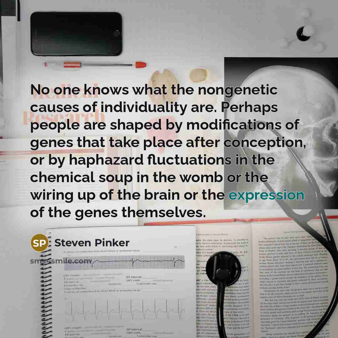 “No one knows what the nongenetic causes of individuality are. Perhaps people are shaped by modifications of genes that take place after conception, or by haphazard fluctuations in the chemical soup in the womb or the wiring up of the brain or the expression of the genes themselves.” quote by Steven Pinker