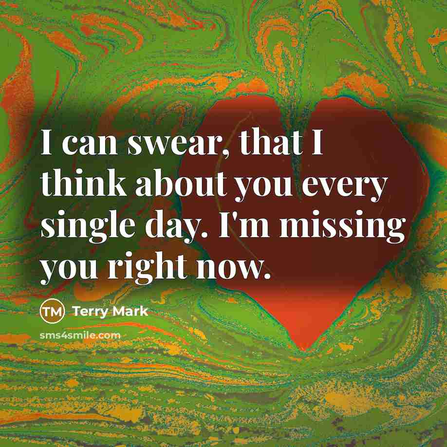 “I can swear, that I think about you every single day. I'm missing you right now.” quote by Terry Mark