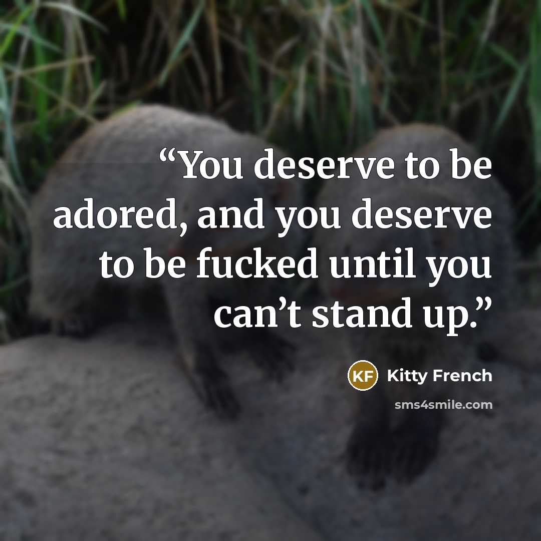 “You deserve to be adored, and you deserve to be fucked until you can’t stand up.” quote by Kitty French