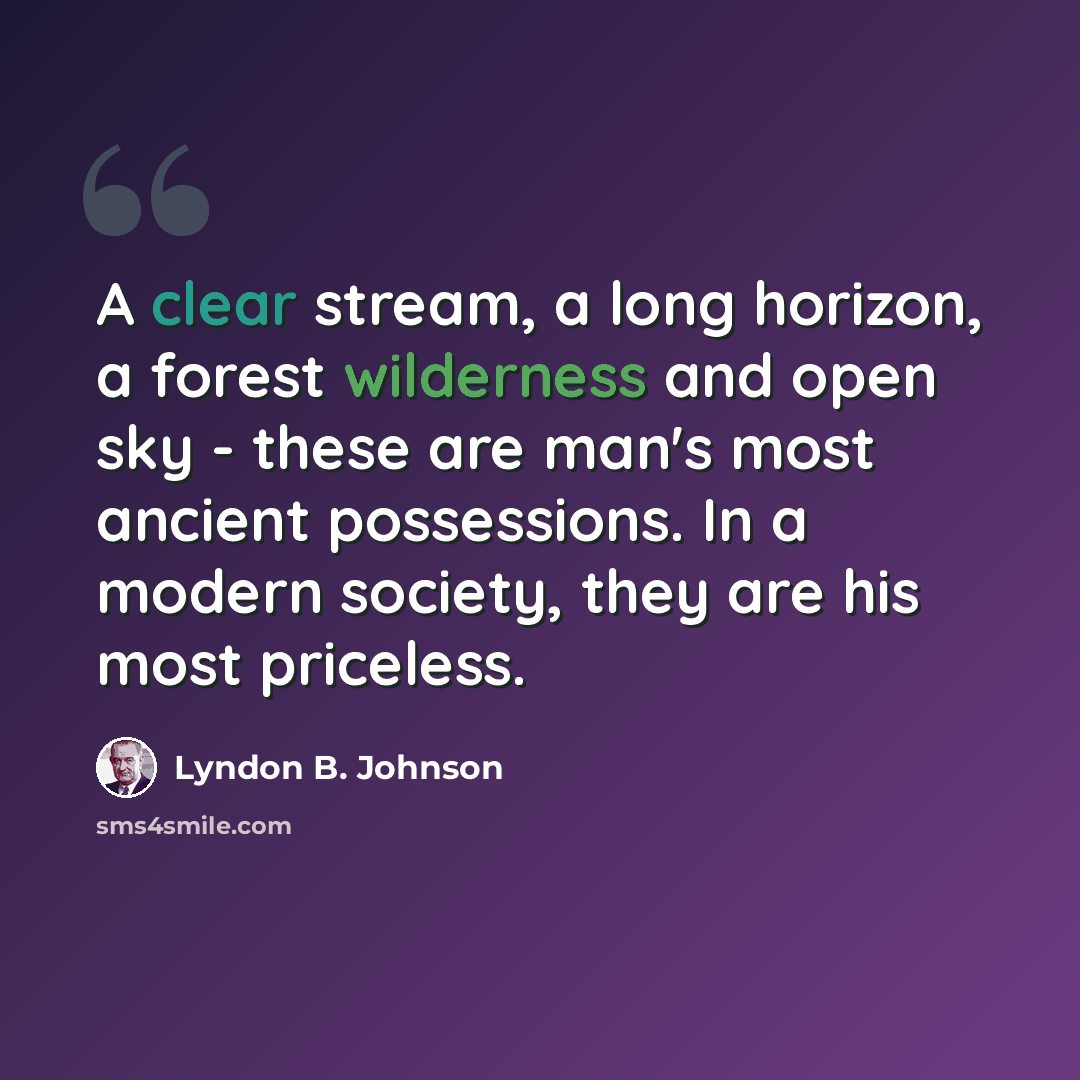 “A clear stream, a long horizon, a forest wilderness and open sky - these are man's most ancient possessions. In a modern society, they are his most priceless.” quote by Lyndon B. Johnson