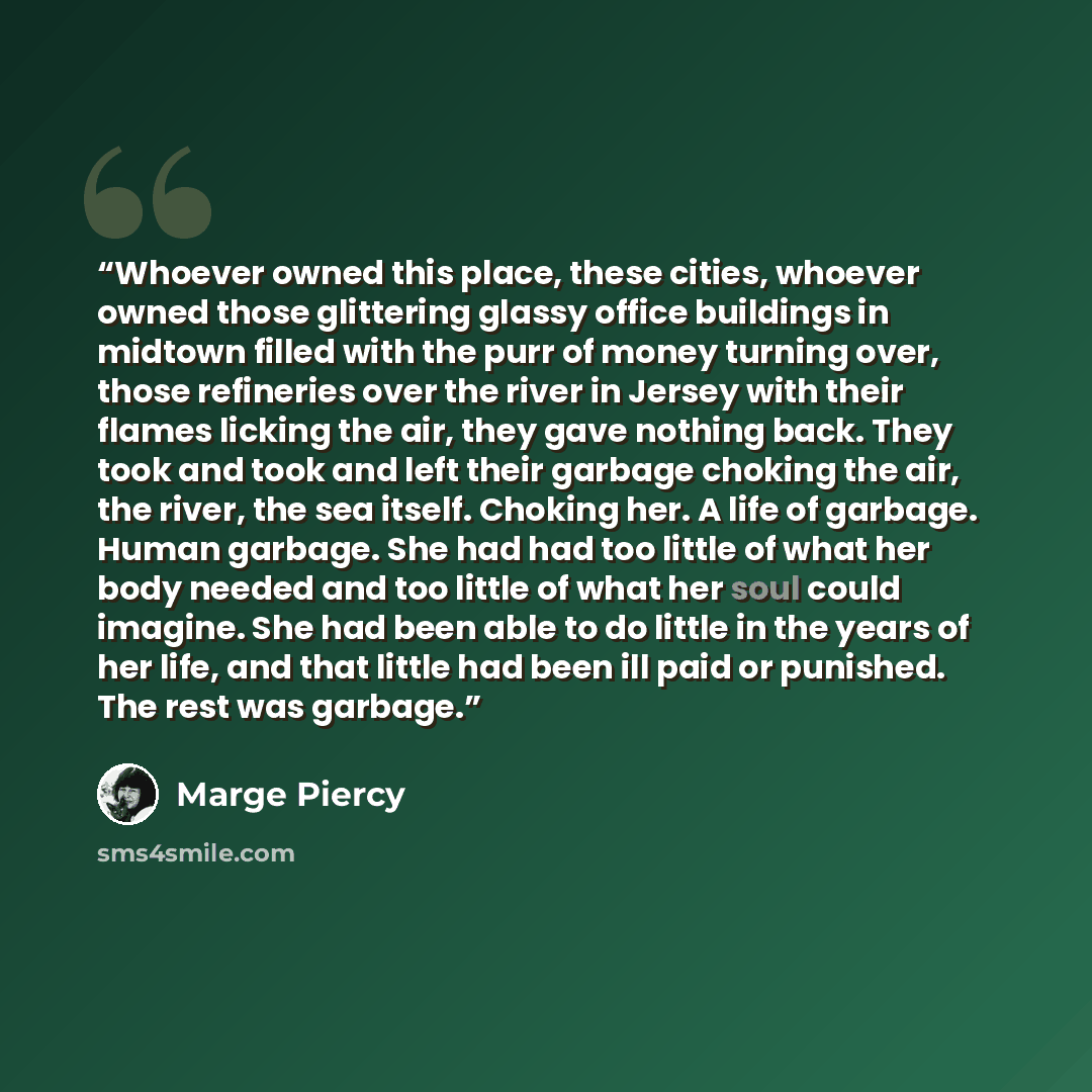 “Whoever owned this place, these cities, whoever owned those glittering glassy office buildings in midtown filled with the purr of money turning over, those refineries over the river in Jersey with their flames licking the air, they gave nothing back. They took and took and left their garbage…” quote by Marge Piercy