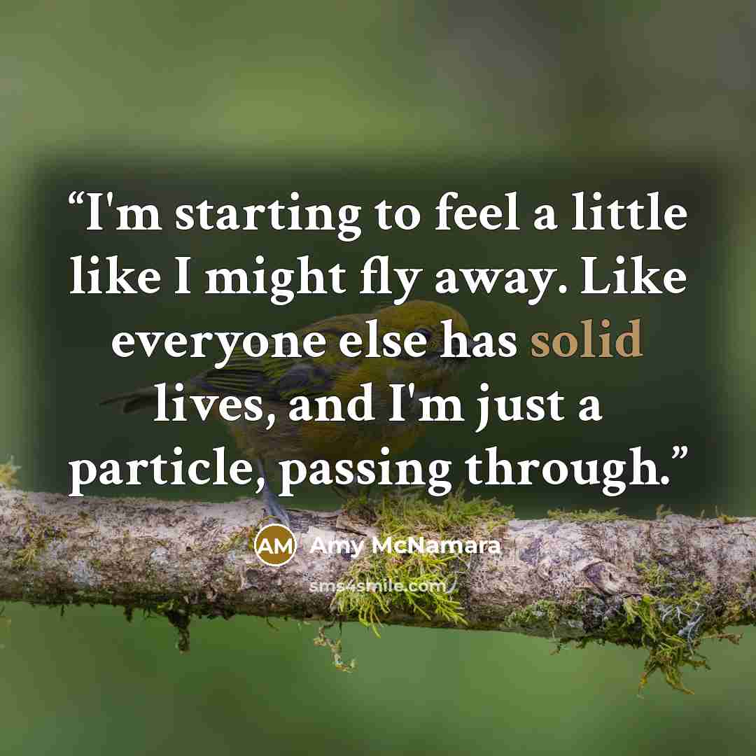 “I'm starting to feel a little like I might fly away. Like everyone else has solid lives, and I'm just a particle, passing through.” quote by Amy McNamara