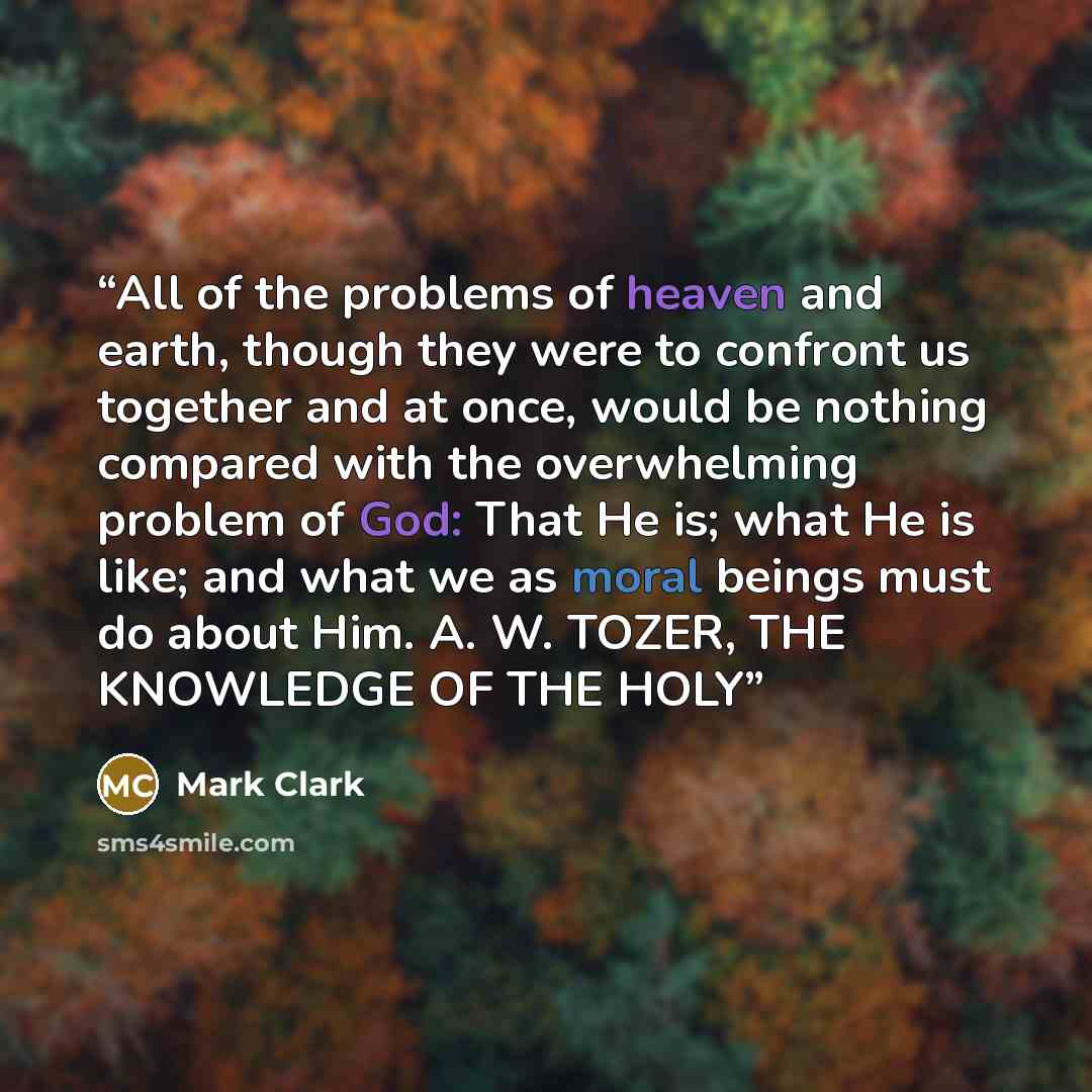 “All of the problems of heaven and earth, though they were to confront us together and at once, would be nothing compared with the overwhelming problem of God: That He is; what He is like; and what we as moral beings must do about Him. A. W. TOZER, THE KNOWLEDGE OF THE HOLY” quote by Mark Clark