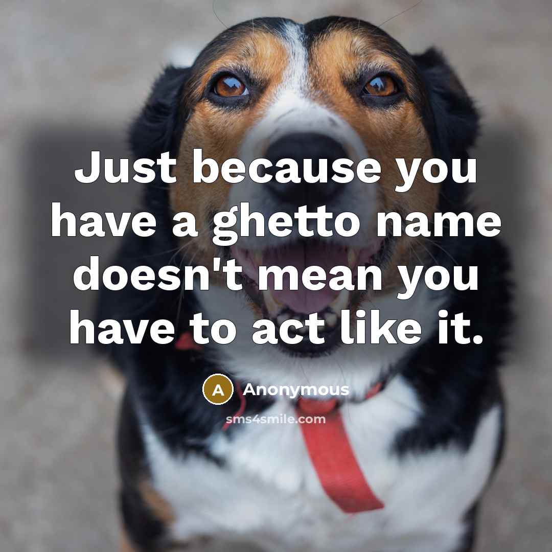 “Just because you have a ghetto name doesn't mean you have to act like it.” quote by Anonymous