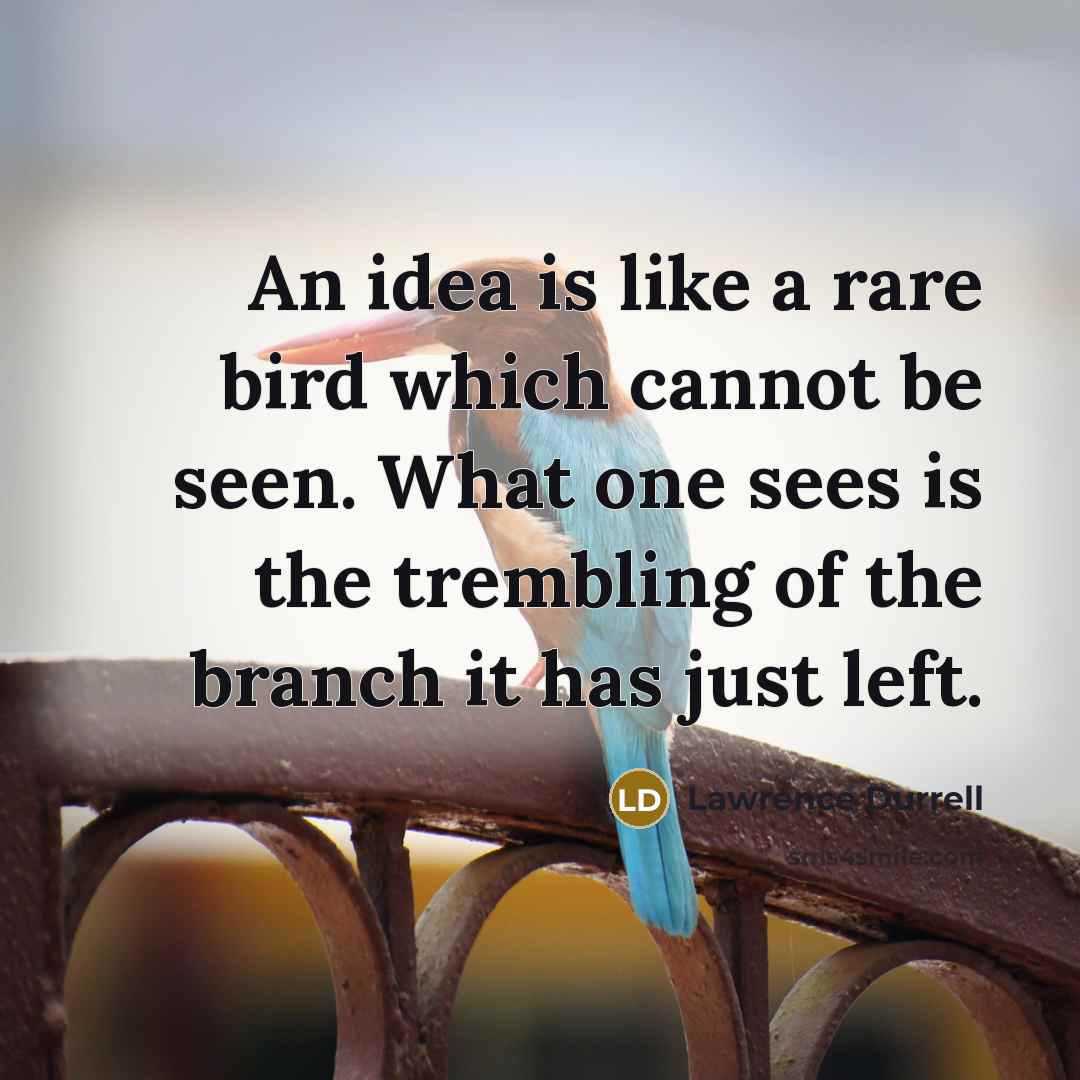 “An idea is like a rare bird which cannot be seen. What one sees is the trembling of the branch it has just left.” quote by Lawrence Durrell