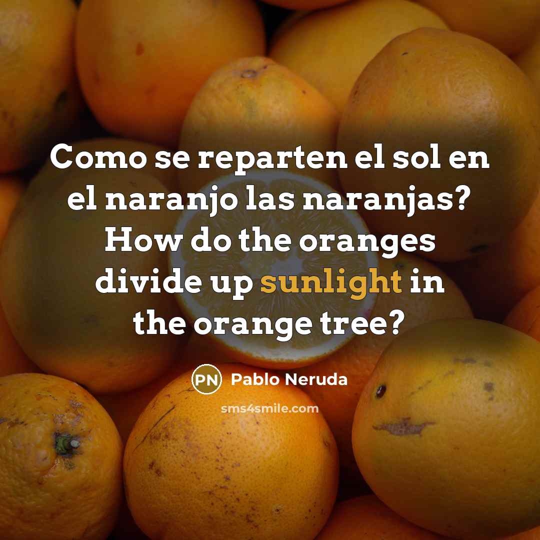 “Como se reparten el sol en el naranjo las naranjas? How do the oranges divide up sunlight in the orange tree?” quote by Pablo Neruda